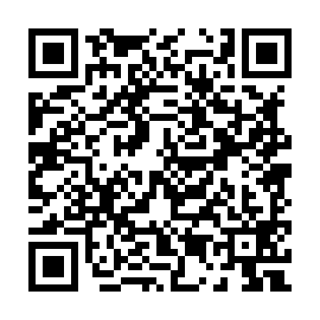 QR code for P508998