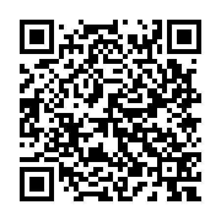 QR code for P51173