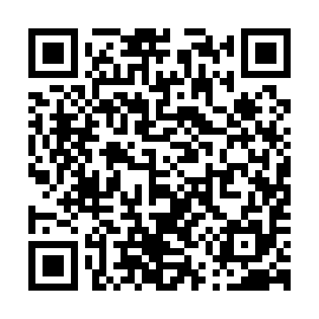 QR code for P51195