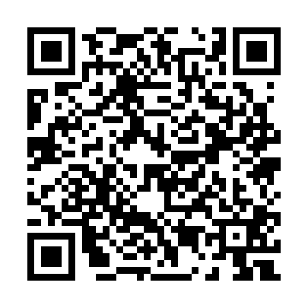 QR code for P513016
