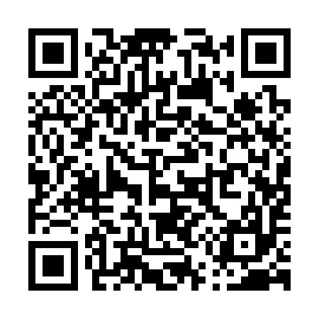 QR code for P51397