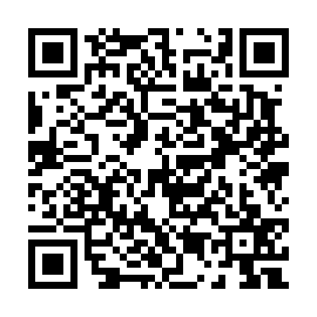 QR code for P514375
