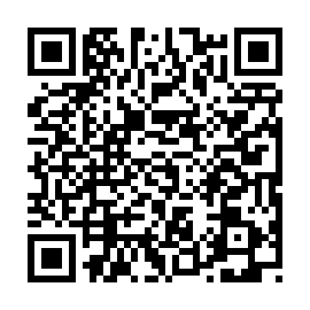 QR code for P514518