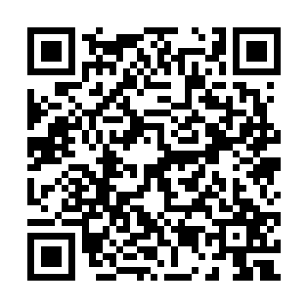 QR code for P516271