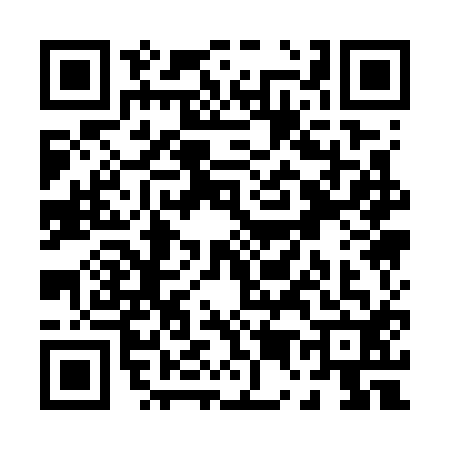 QR code for P517121