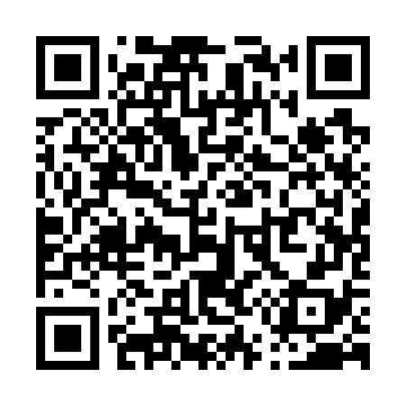 QR code for P51778