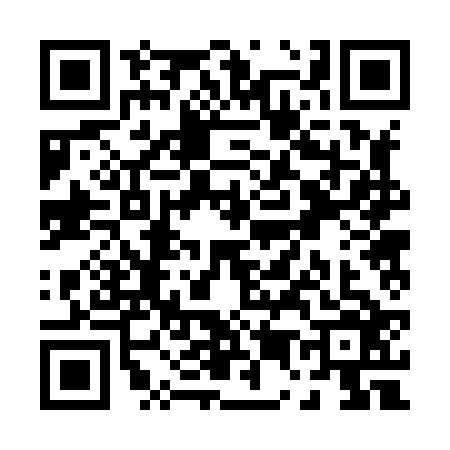 QR code for P528261