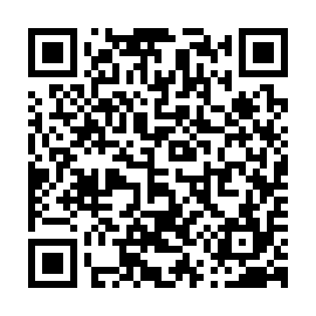 QR code for P53314