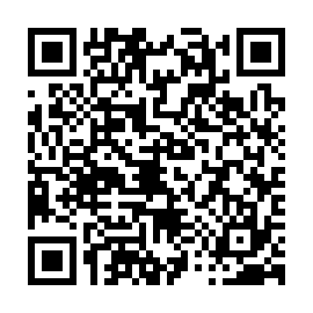 QR code for P533378