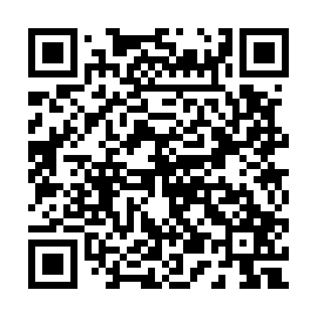QR code for P53507