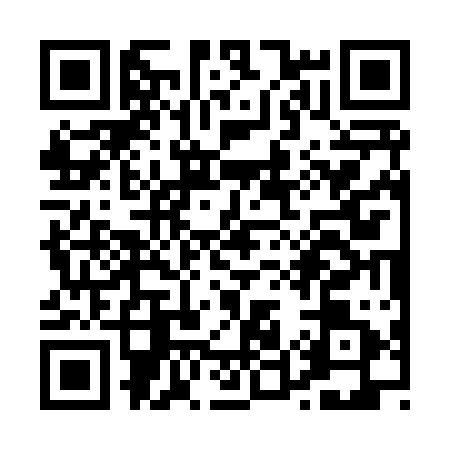 QR code for P538118
