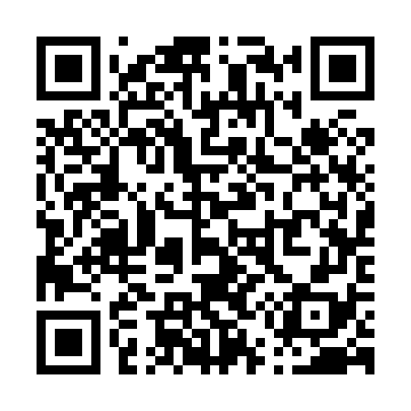 QR code for P53878