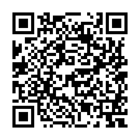 QR code for P539807