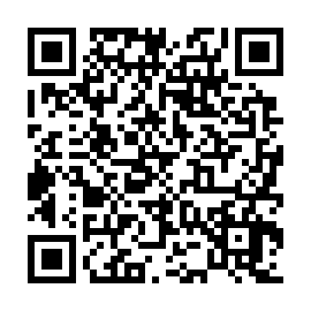 QR code for P543261