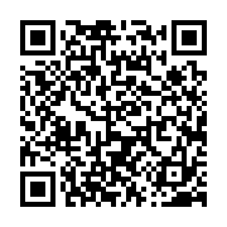 QR code for P54333