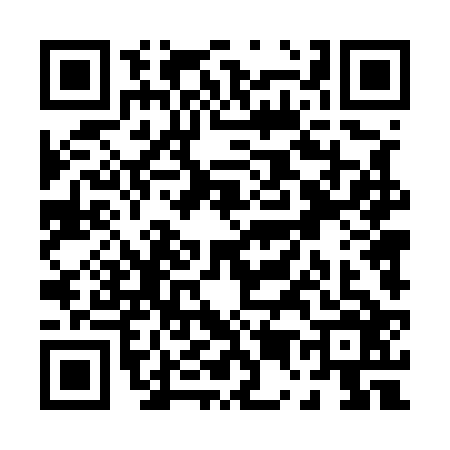 QR code for P545260