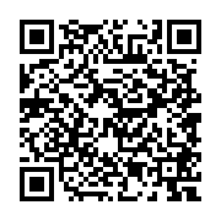 QR code for P545489