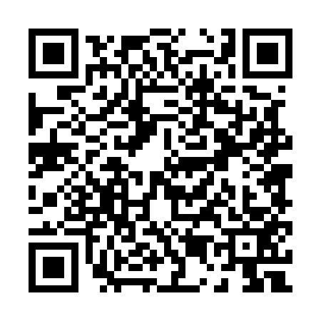 QR code for P545534