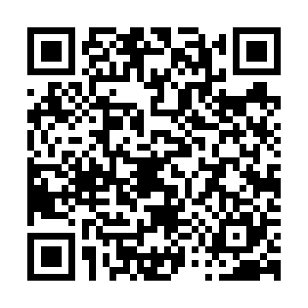 QR code for P546255