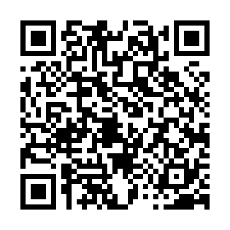 QR code for P548302