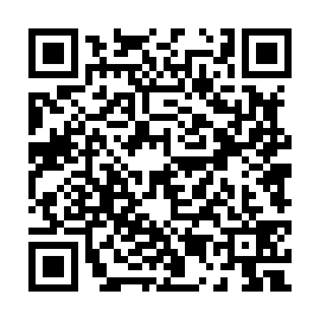 QR code for P548397