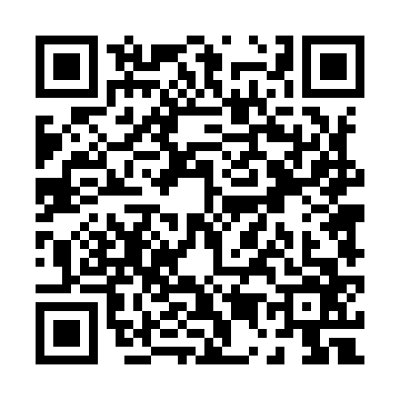QR code for P549666