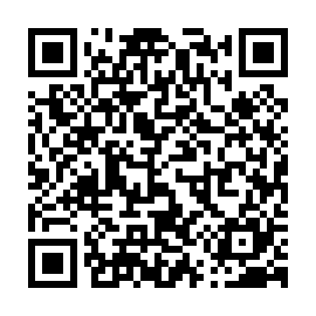 QR code for P55025