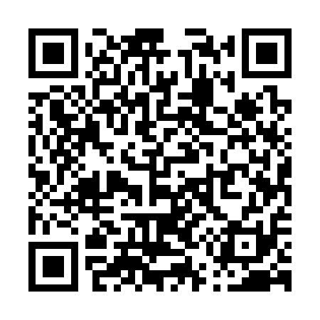QR code for P55311