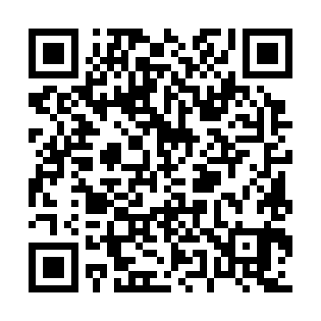 QR code for P55381