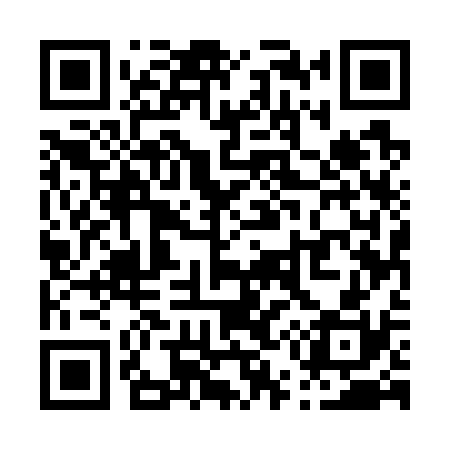 QR code for P55730