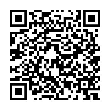 QR code for P576561