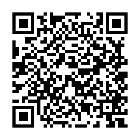 QR code for P578492