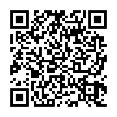 QR code for P583299