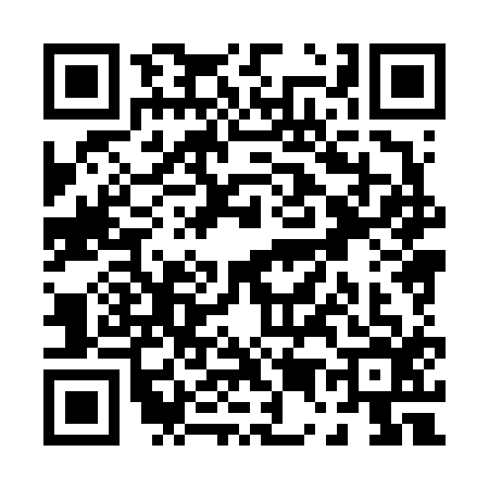 QR code for P586160