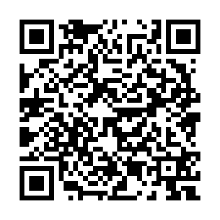 QR code for P586202