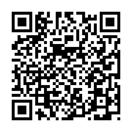 QR code for P586496