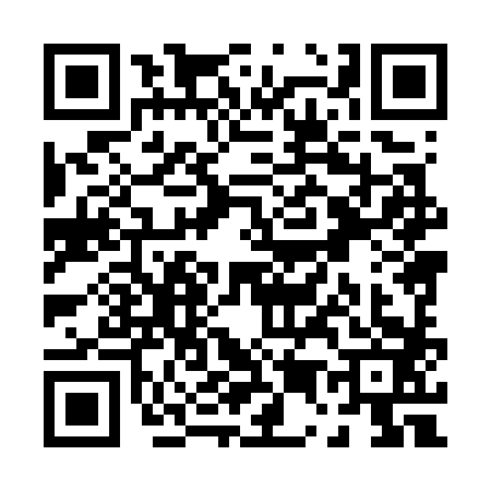 QR code for P587838