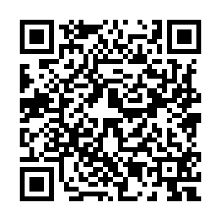 QR code for P589125