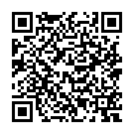 QR code for P591511