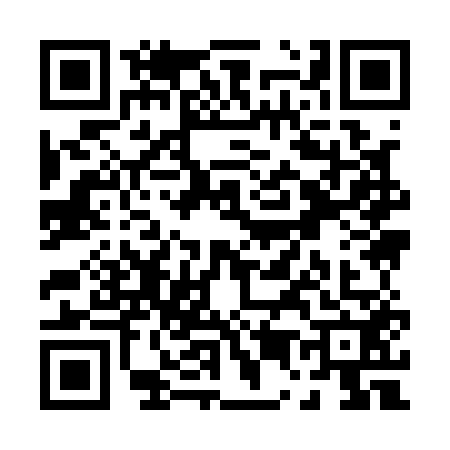 QR code for P591529