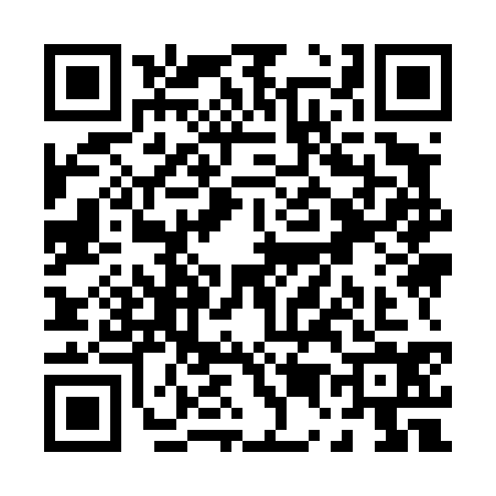 QR code for P594343