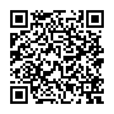 QR code for P595099