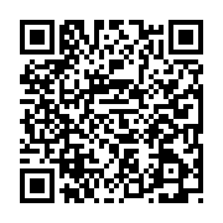 QR code for P595879