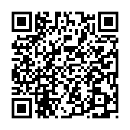 QR code for P595930