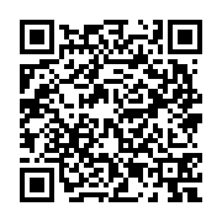 QR code for P596707