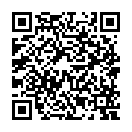 QR code for P597873