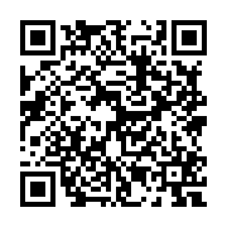 QR code for P598053