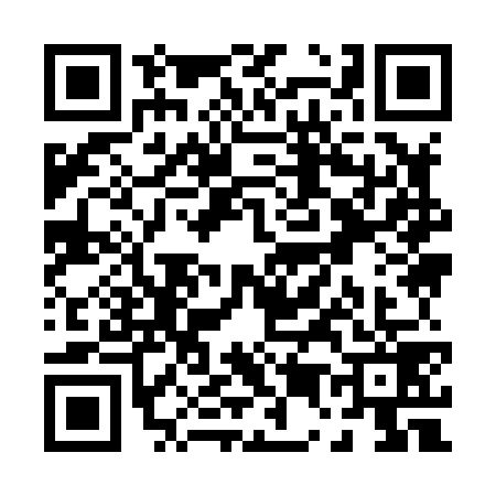 QR code for P598796