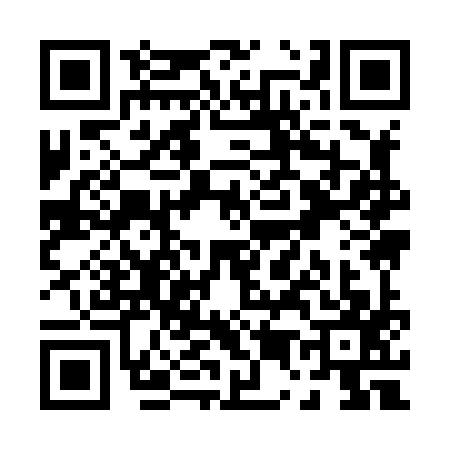 QR code for P598970