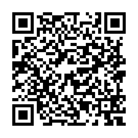 QR code for P599999